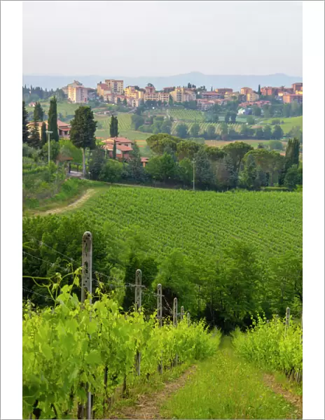 San Gimignano. Tuscany. Italy