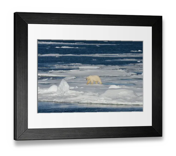 Framed Print : Norway, Barents Sea, Svalbard, Sjuoyane, Seven Islands. Northeast-Svalbard Nature Reserve