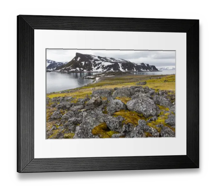 Framed Print : Arctic, Norway, Svalbard, Spitsbergen, Fuglesongen. Tundra and rocks Framed Print : Arctic, Norway, Svalbard, Spitsbergen, Fuglesongen. Tundra and rocks