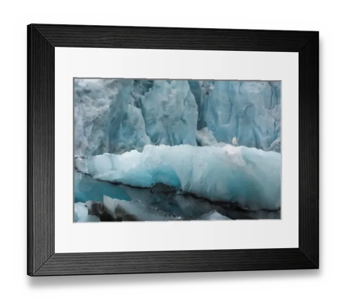 Framed Print : Norway. Svalbard. Spitsbergen. Hornsund. Brepollen Framed Print : Norway. Svalbard. Spitsbergen. Hornsund. Brepollen