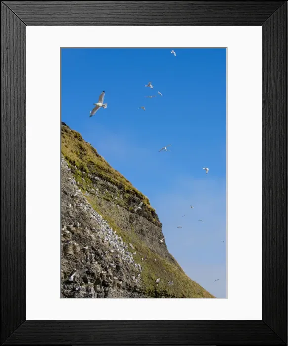Framed Print : Norway. Svalbard. Barentsoya. Freemansundet Framed Print : Norway. Svalbard. Barentsoya. Freemansundet