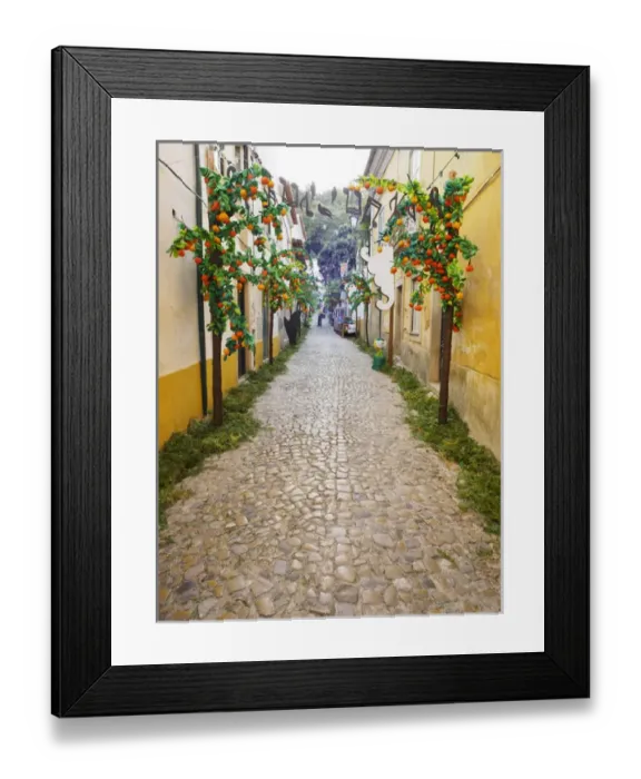 Framed Print : Portugal, Tomar, Santarem District. The town constructed in the late 12th C. Festa dos Tabuleiros Framed Print : Portugal, Tomar, Santarem District. The town constructed in the late 12th C. Festa dos Tabuleiros