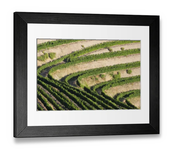 Framed Print : Europe, Portugal, Douro Valley, Douro River, Porto, a region that runs from the Spanish-Portugal Framed Print : Europe, Portugal, Douro Valley, Douro River, Porto, a region that runs from the Spanish-Portugal