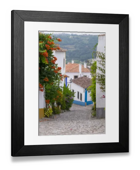 Framed Print : Europe, Portugal, Obidos. Leira District. Cobblestone walkways, and colorful flowers Framed Print : Europe, Portugal, Obidos. Leira District. Cobblestone walkways, and colorful flowers