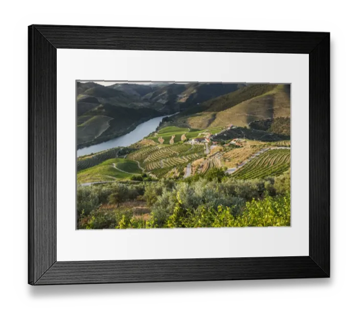 Framed Print : Europe, Portugal, Douro Valley, Douro River, Porto, a region that runs from the Spanish-Portugal Framed Print : Europe, Portugal, Douro Valley, Douro River, Porto, a region that runs from the Spanish-Portugal