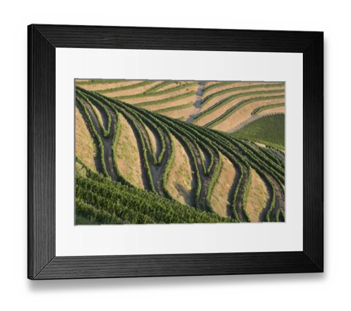 Framed Print : Europe, Portugal, Douro Valley, Douro River, Porto, a region that runs from the Spanish-Portugal Framed Print : Europe, Portugal, Douro Valley, Douro River, Porto, a region that runs from the Spanish-Portugal