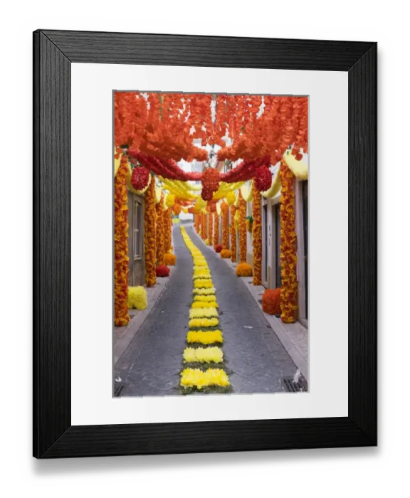Framed Print : Portugal, Tomar, Santarem District. The town constructed in the late 12th C. Festa dos Tabuleiros Framed Print : Portugal, Tomar, Santarem District. The town constructed in the late 12th C. Festa dos Tabuleiros
