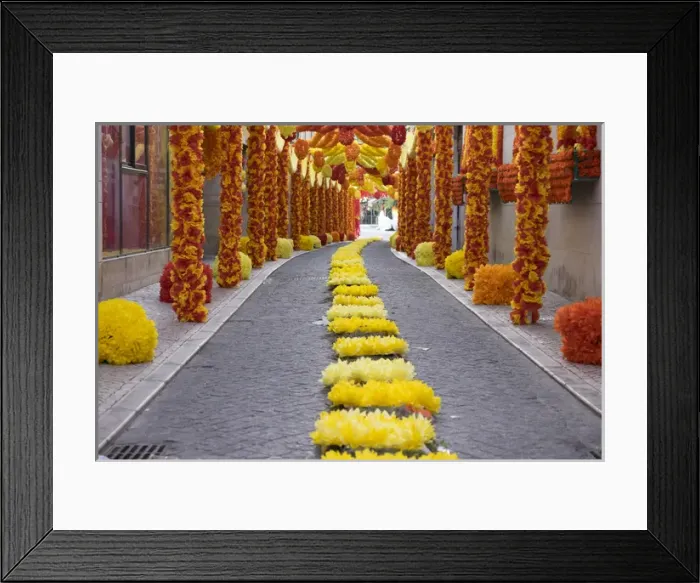 Framed Print : Portugal, Tomar, Santarem District. The town constructed in the late 12th C. Festa dos Tabuleiros Framed Print : Portugal, Tomar, Santarem District. The town constructed in the late 12th C. Festa dos Tabuleiros