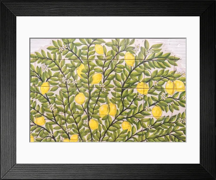 Framed Print : Europe, Portugal, Evora, handpainted ceramic tile mural Framed Print : Europe, Portugal, Evora, handpainted ceramic tile mural
