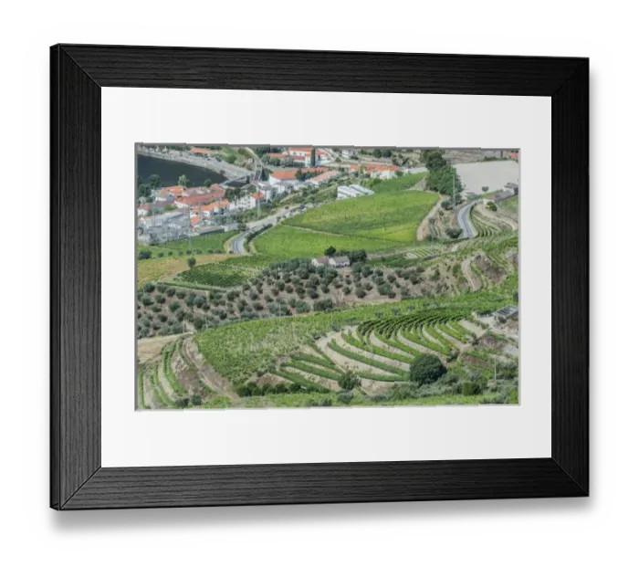 Framed Print : Portugal, Douro Valley, Hillside Vineyards Framed Print : Portugal, Douro Valley, Hillside Vineyards