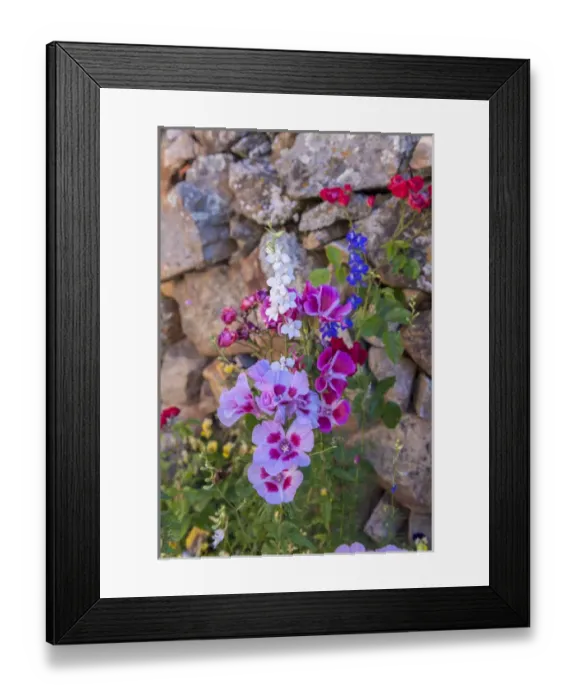 Framed Print : Europe, Portugal, Figueria de Castelo Rodrigo, flower garden