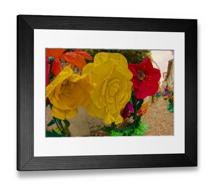 Framed Print : Europe; Portugal; Tomar; The streets of Tomar decorated with paper flowers for the celebrations