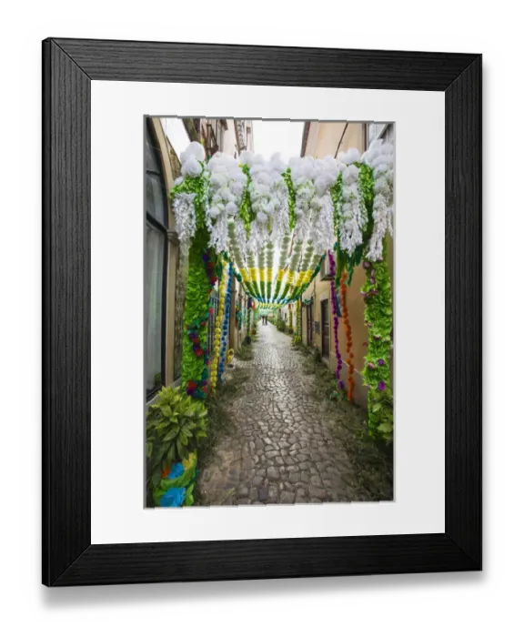 Framed Print : Europe; Portugal; Tomar; The streets of Tomar decorated with paper flowers for the celebrations Framed Print : Europe; Portugal; Tomar; The streets of Tomar decorated with paper flowers for the celebrations