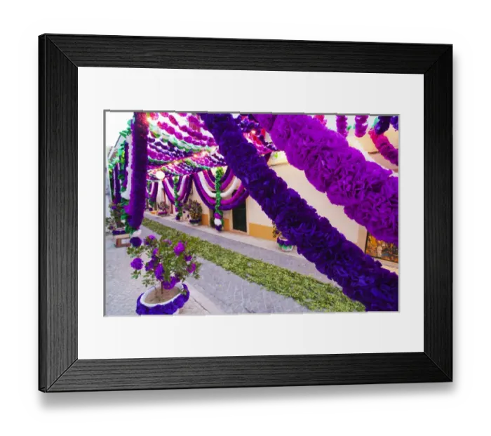 Framed Print : Europe; Portugal; Tomar; The streets of Tomar decorated with paper flowers for the celebrations