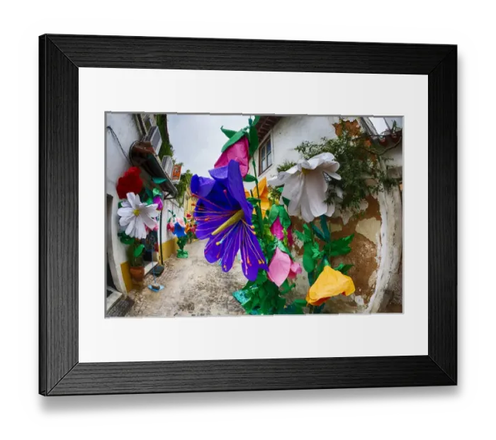 Framed Print : Europe; Portugal; Tomar; The streets of Tomar decorated with paper flowers for the celebrations