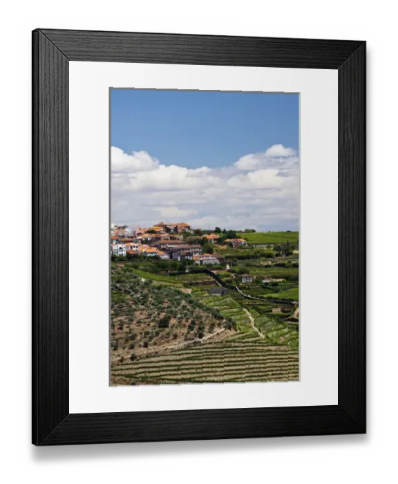 Framed Print : Europe; Portugal; Duoro Valley; Terraced Vineyards linning the hills of the Duoro Valley Framed Print : Europe; Portugal; Duoro Valley; Terraced Vineyards linning the hills of the Duoro Valley