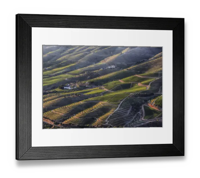 Framed Print : Europe; Portugal; Duoro Valley; Terraced Vineyards linning the hills of the Duoro Valley Framed Print : Europe; Portugal; Duoro Valley; Terraced Vineyards linning the hills of the Duoro Valley