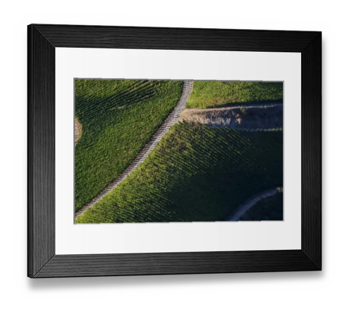 Framed Print : Europe; Portugal; Duoro Valley; Terraced Vineyards linning the hills of the Duoro Valley