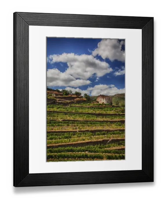 Framed Print : Europe; Portugal; Duoro Valley; Terraced Vineyards linning the hills of the Duoro Valley Framed Print : Europe; Portugal; Duoro Valley; Terraced Vineyards linning the hills of the Duoro Valley