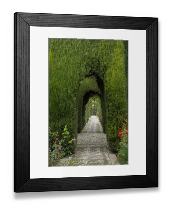 Framed Print : Granada Spain Alhambra famous hedges of Gardens of the Generalife and wonderful green arches Framed Print : Granada Spain Alhambra famous hedges of Gardens of the Generalife and wonderful green arches