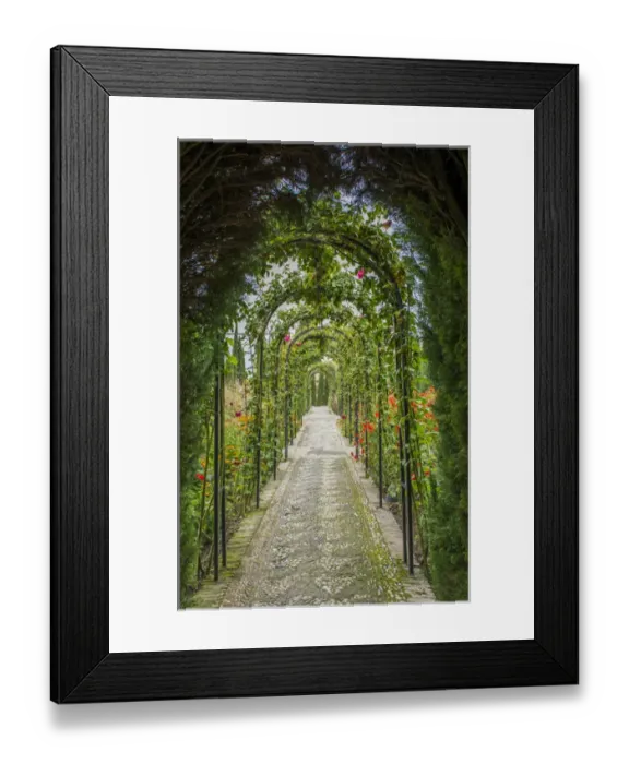 Framed Print : Granada Spain Alhambra famous hedges of Gardens of the Generalife and wonderful green arches Framed Print : Granada Spain Alhambra famous hedges of Gardens of the Generalife and wonderful green arches