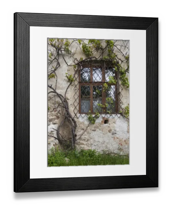 Framed Print : Romania, Transylvania, Viscri, traditional Romanian village, supported by Prince Charles of England Framed Print : Romania, Transylvania, Viscri, traditional Romanian village, supported by Prince Charles of England