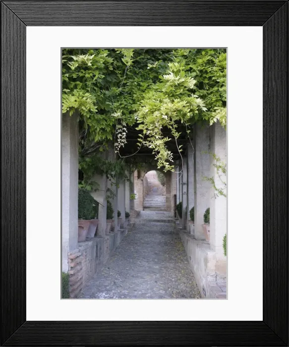 Framed Print : Spain, Andalusia, Granada. Lower Gardens - Generalife, The Alhambra