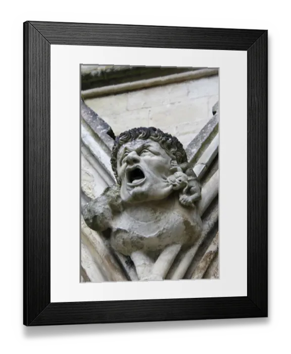 Framed Print : Europe, Great Britain, England, Salisbury