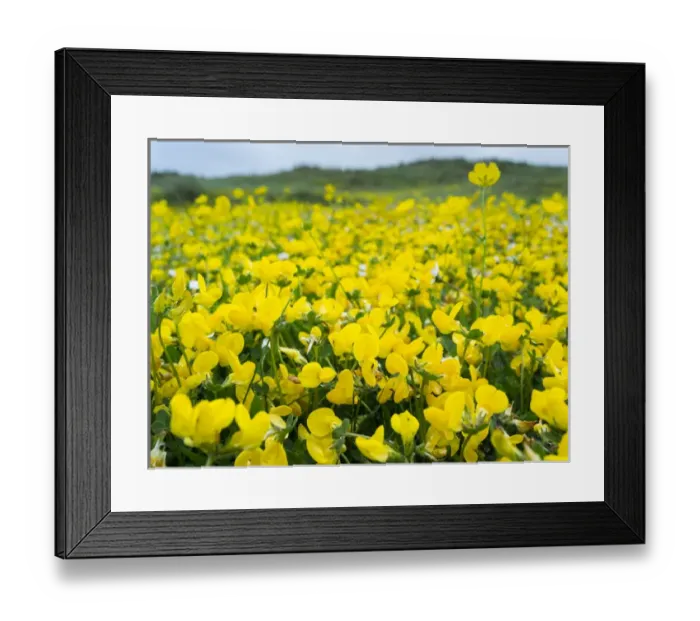 Framed Print : Isle of Lewis, part of the island Lewis and Harris in the Outer Hebrides of Scotland Framed Print : Isle of Lewis, part of the island Lewis and Harris in the Outer Hebrides of Scotland
