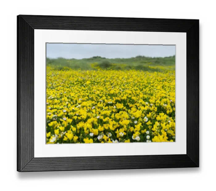 Framed Print : Isle of Lewis, part of the island Lewis and Harris in the Outer Hebrides of Scotland Framed Print : Isle of Lewis, part of the island Lewis and Harris in the Outer Hebrides of Scotland