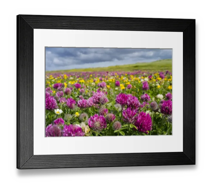 Framed Print : Isle of Lewis, part of the island Lewis and Harris in the Outer Hebrides of Scotland Framed Print : Isle of Lewis, part of the island Lewis and Harris in the Outer Hebrides of Scotland