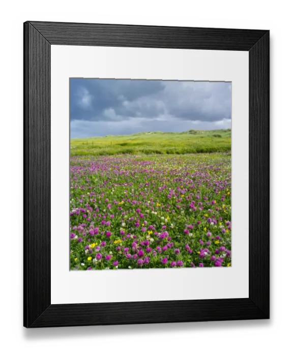 Framed Print : Isle of Lewis, part of the island Lewis and Harris in the Outer Hebrides of Scotland Framed Print : Isle of Lewis, part of the island Lewis and Harris in the Outer Hebrides of Scotland