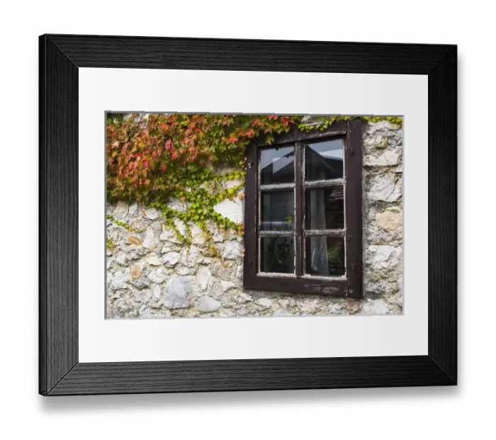 Framed Print : Ivy and window, Korana Village, Plitvice Lakes National Park, Croatia Framed Print : Ivy and window, Korana Village, Plitvice Lakes National Park, Croatia