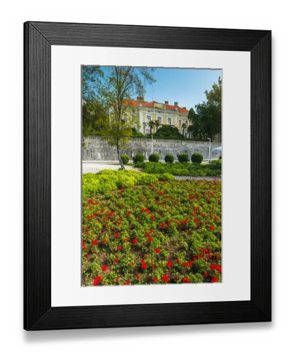 Framed Print : Estate and flowers on the promenade, Old Town Zadar, Dalmatian Coast, Croatia Framed Print : Estate and flowers on the promenade, Old Town Zadar, Dalmatian Coast, Croatia