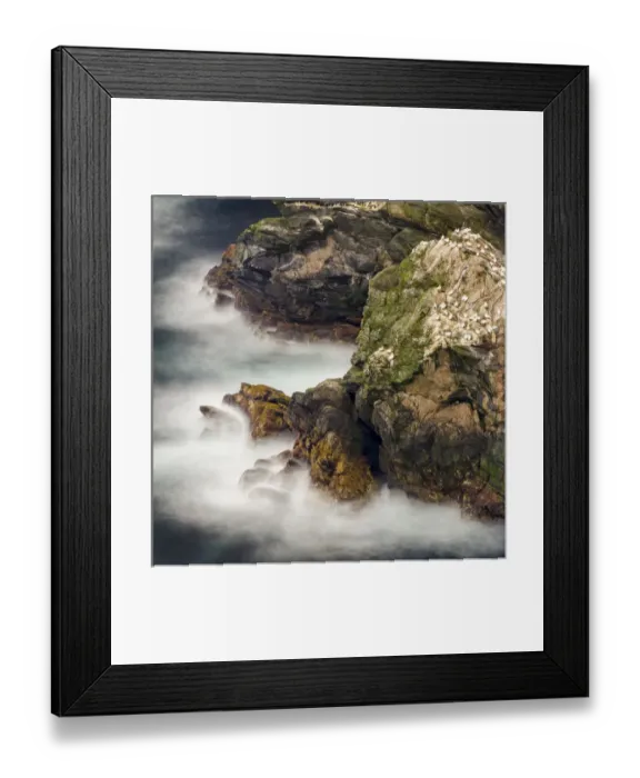 Framed Print : Hermaness National Nature Reserve on the island Unst Framed Print : Hermaness National Nature Reserve on the island Unst