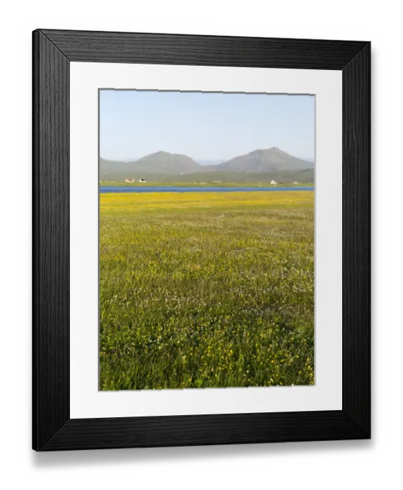 Framed Print : Landscape on the island of South Uist (Uibhist a Deas) in the Outer Hebrides. Machair Framed Print : Landscape on the island of South Uist (Uibhist a Deas) in the Outer Hebrides. Machair