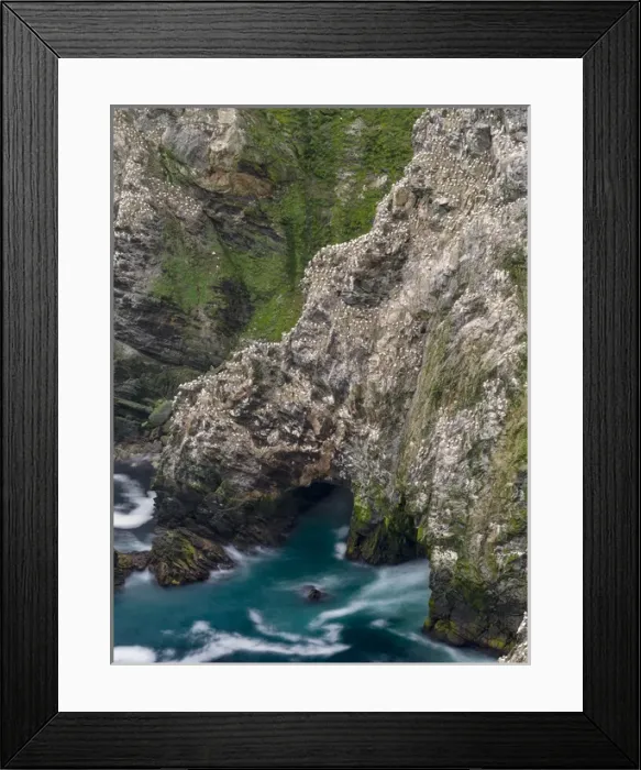 Framed Print : Hermaness National Nature Reserve on the island Unst Framed Print : Hermaness National Nature Reserve on the island Unst