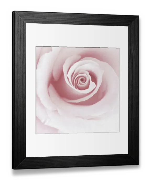 Framed Print : Rose Abstract Framed Print : Rose Abstract