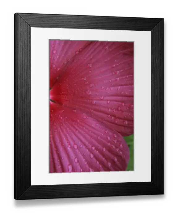 Framed Print : Red Hibiscus Abstract Framed Print : Red Hibiscus Abstract