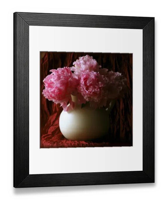 Framed Print : Pink Peonies in White Pitcher Framed Print : Pink Peonies in White Pitcher