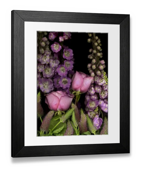 Framed Print : Delphinium and Roses on black background