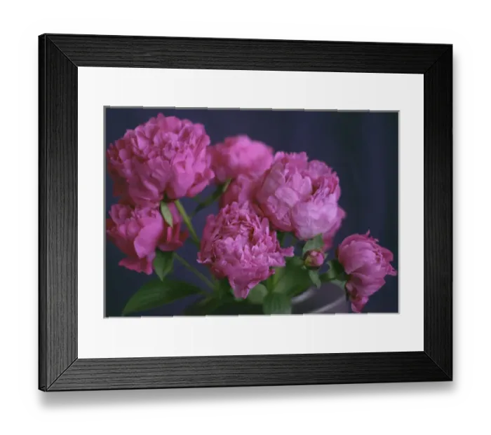 Framed Print : Rich Pink Peony Bouquet Framed Print : Rich Pink Peony Bouquet