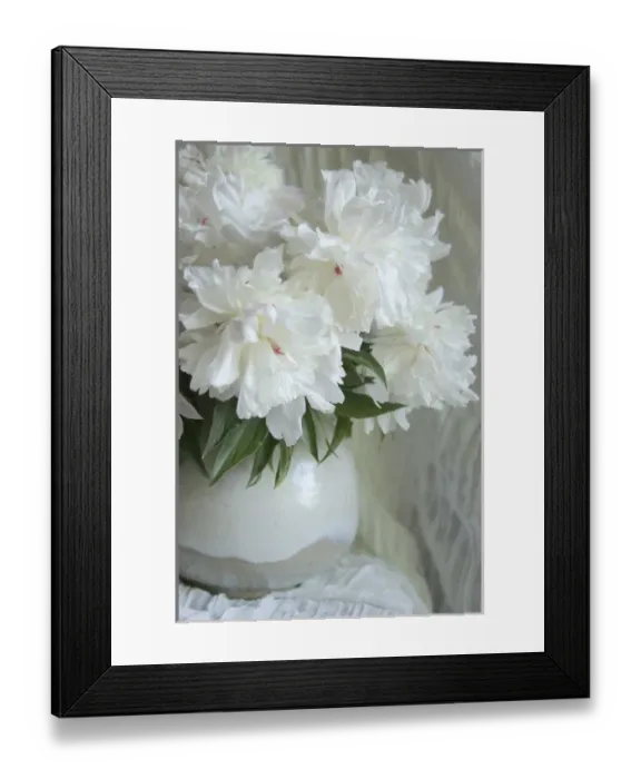 Framed Print : Peony Study