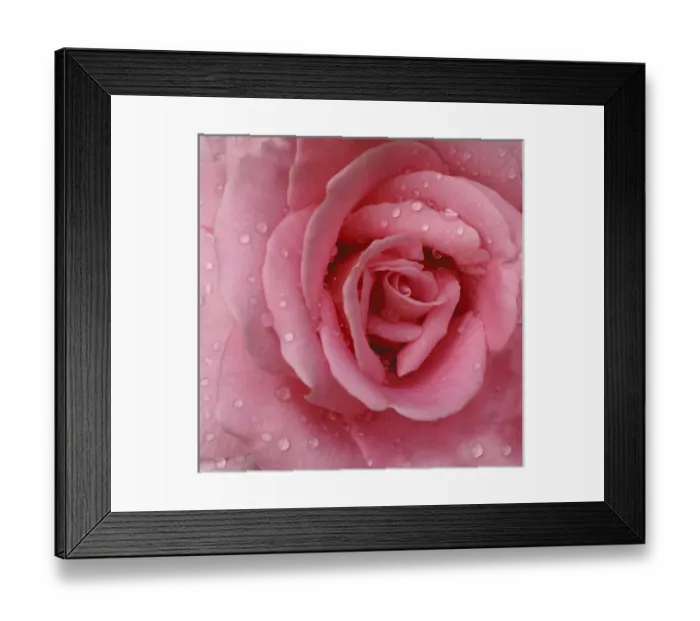 Framed Print : Rose Abstract