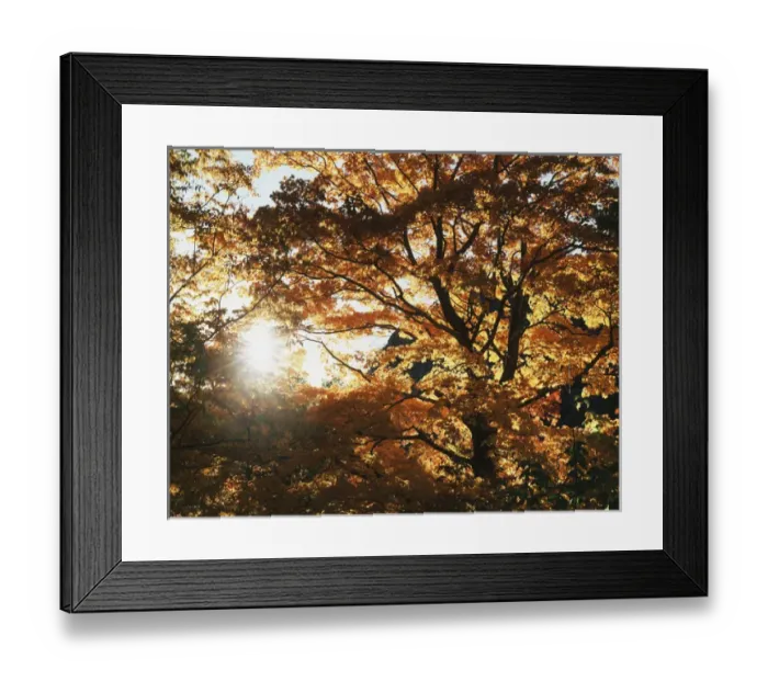 Framed Print : CTF-1390 Framed Print : CTF-1390