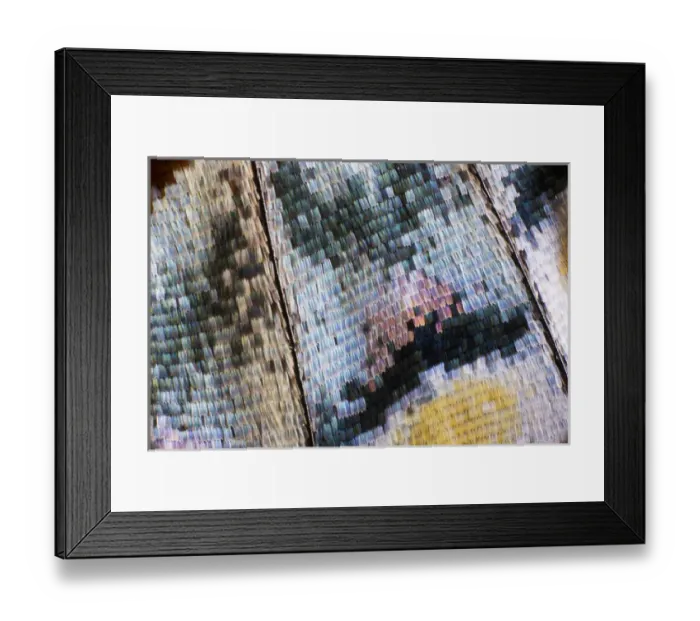 Framed Print : Close-up detail Wing Pattern of Tropical Butterfly Framed Print : Close-up detail Wing Pattern of Tropical Butterfly