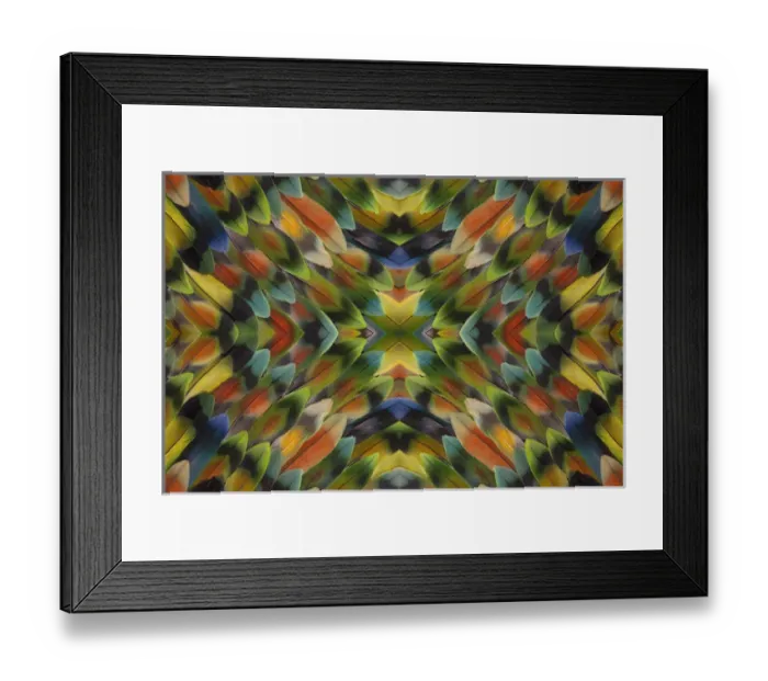 Framed Print : Lovebird tail feather pattern and design Framed Print : Lovebird tail feather pattern and design