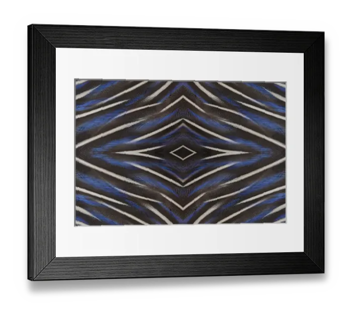 Framed Print : Vulturine Guineafowl breast feather design Framed Print : Vulturine Guineafowl breast feather design
