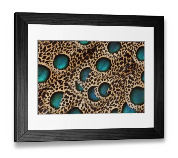 Framed Print : Feather design of the Malay Peacock Pheasant Framed Print : Feather design of the Malay Peacock Pheasant