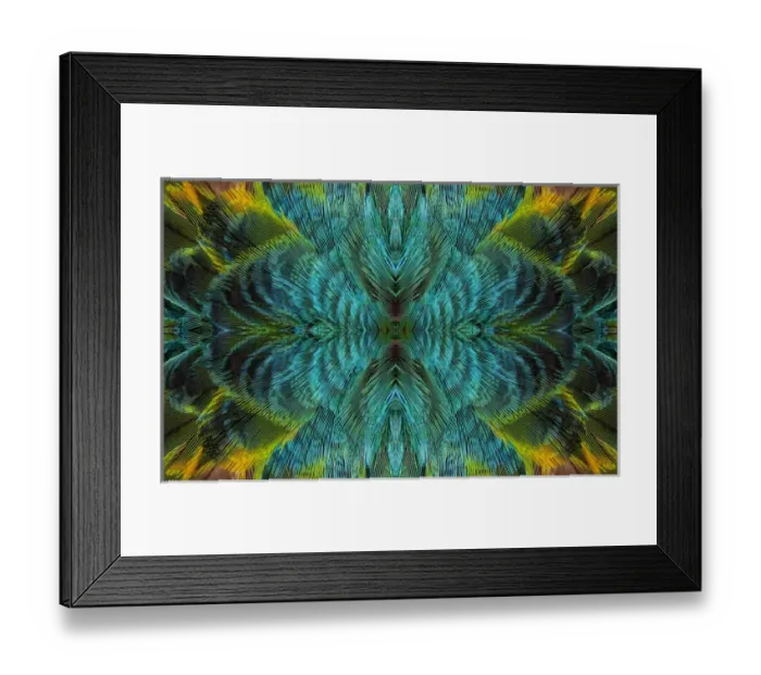 Framed Print : Feather Design Framed Print : Feather Design